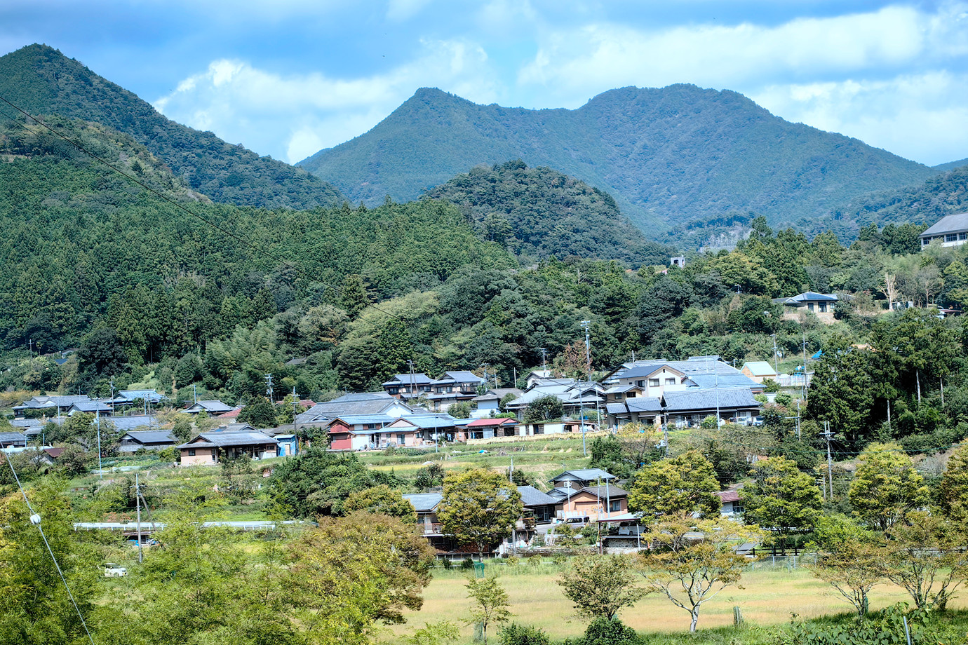 和歌山-熊野古道中邊路 (近露王子)
